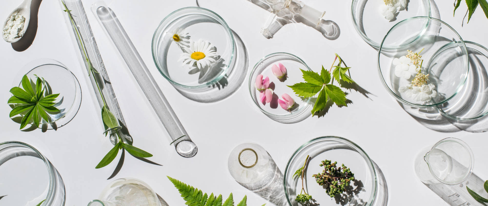 Sistema di lavorazione