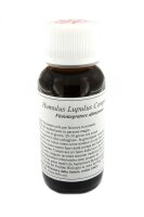 LVS02S Humulus lupulus Compositum