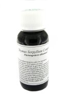 LVS21N Thymus serpyllum Compositum