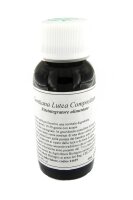 LVS25N Gentiana lutea Compositum