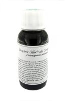 LVS64N Zingiber officinale Compositum