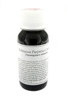 LVS67S Echinacea purpurea Compositum