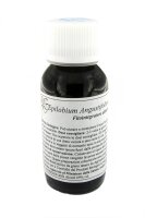 LVS82C Epilobium angustifolium Compositum