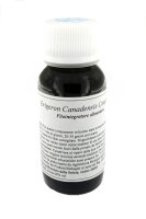 LVS85C Erigeron canadensis Compositum