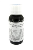 LVS87C Cynara scolymus cauli Compositum